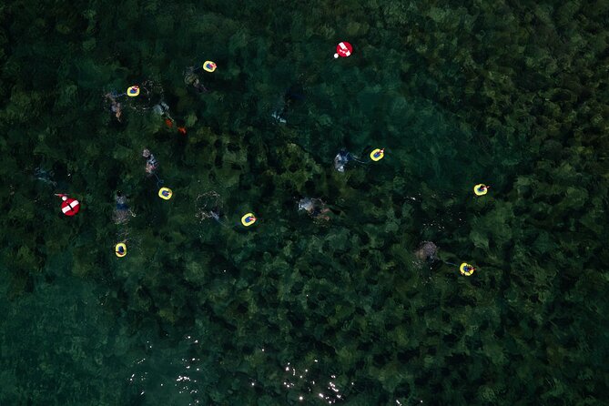 NEMO Diving System Snorkeling Experience Review - Final Verdict On This Stay