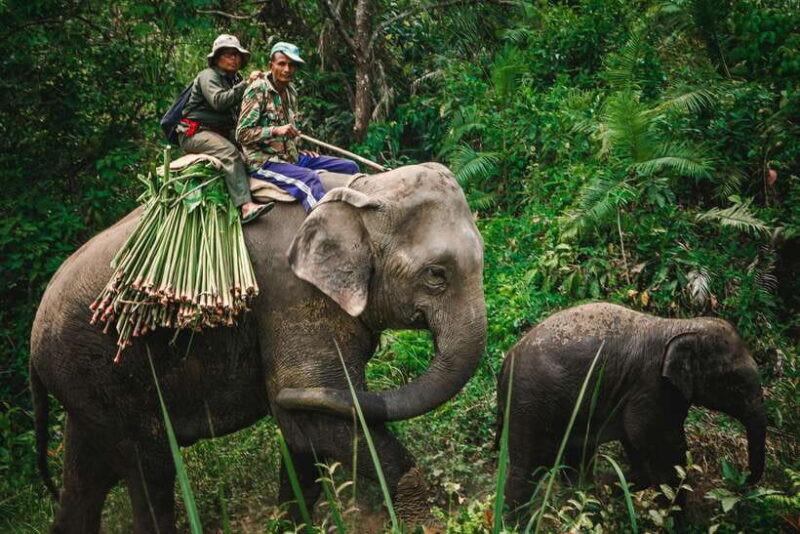 Nepal and Bhutan: 14-Day Tour with Flights - Key Points