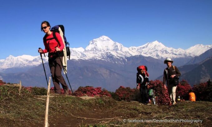 Nepal: Annapurna Base Camp (Abc) Trek From Kathmandu - Cultural Insights and Experiences