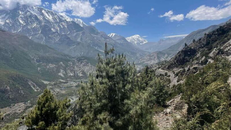 Nepal: Api Himal Trek to Base Camp - Who Should Consider This Trek?
