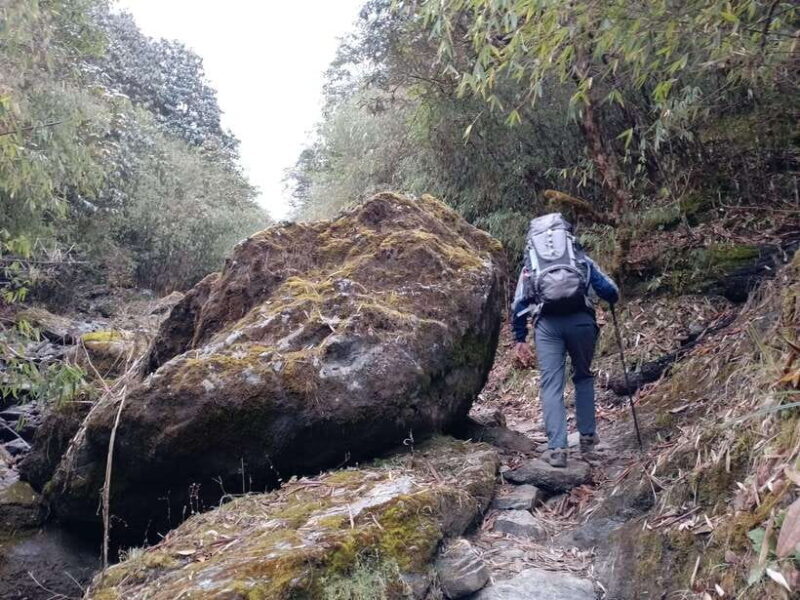 Nepal: Everest Base Camp with Kalapathar Trek - Who Should Consider This Trek?