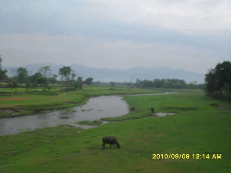 Nepal: Kathmandu and Chitwan National Park Tour - Jungle Safari and Wildlife Spotting