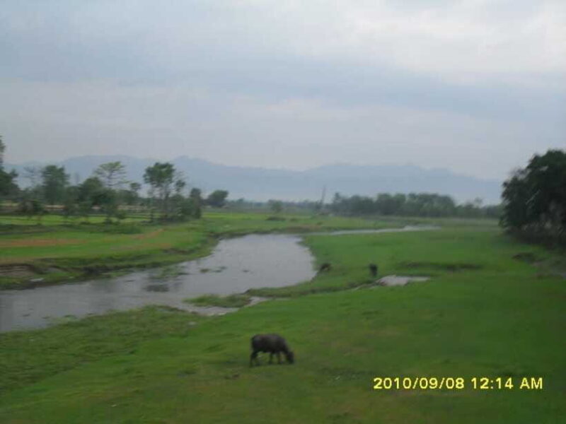 Nepal: Kathmandu and Chitwan National Park Tour - The Practical Details and Value