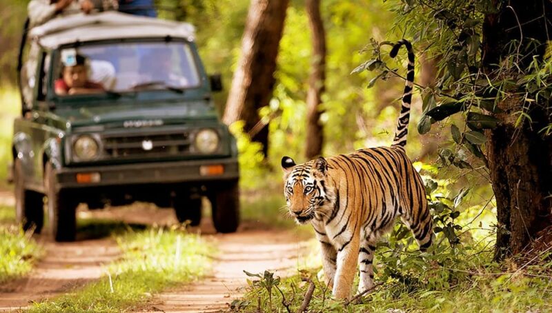 Nepal Panorama Tour – 10 Days - Included Services