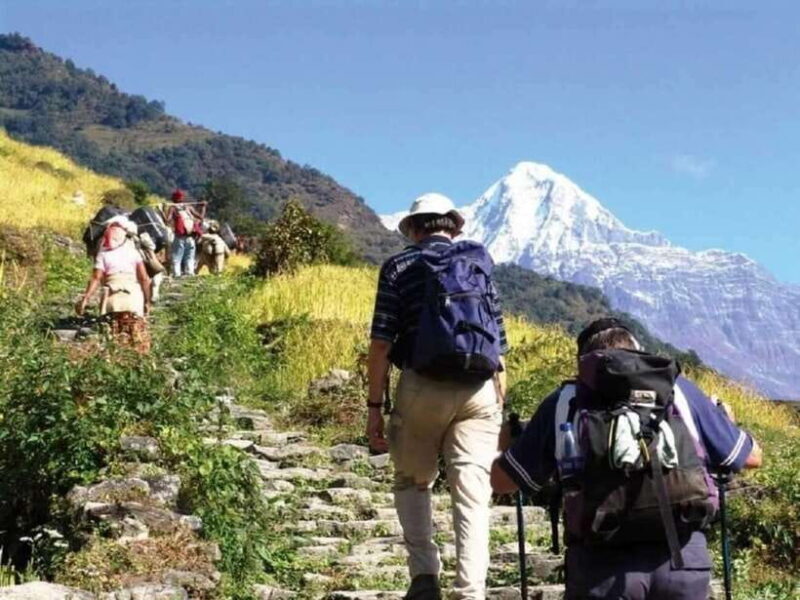 Nepal: Small Group 4-day Mardi Himal Trekking - Key Points