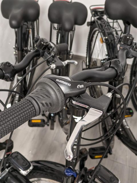 NERJA: Ebike Rental - Exploring Nerja on an Ebike