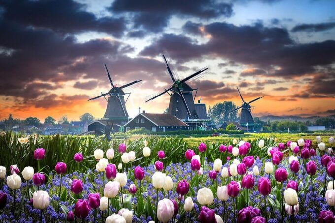 Netherlands, Private Tour, Tesla SUV, Windmills, Volendam - Booking Information