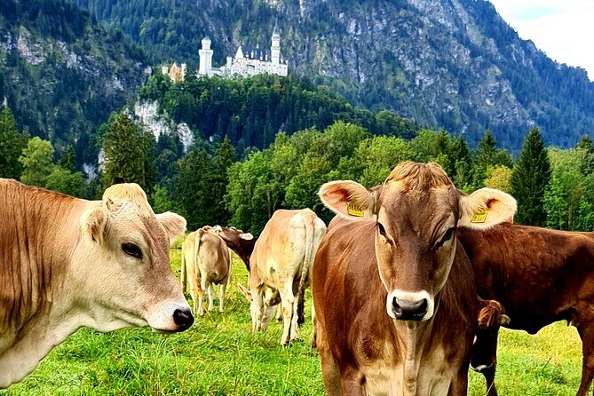 Neuschwanstein Castle, Ettal Abbey and Oberammergau Private Tour from Munich - Pricing and Value