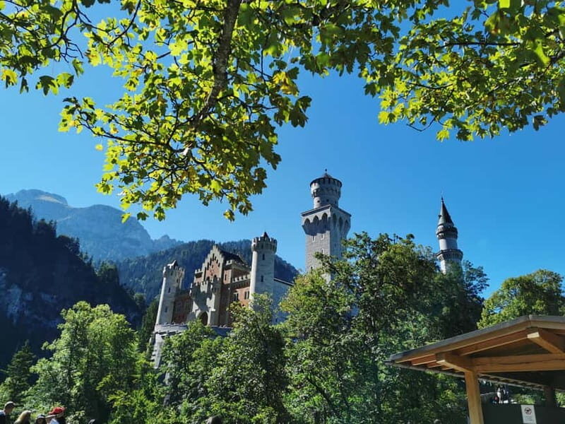 Neuschwanstein from Innsbruck, private tour, driveandguide - Key Points  