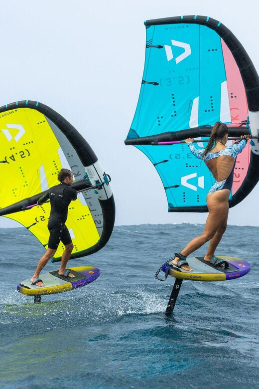 Neusiedler See: 1/2 Day Wing Surf Course - Pricing and Value Analysis