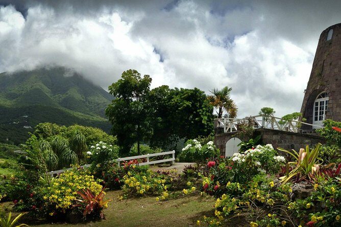Nevis Island Half-Day Tour - Who Will Enjoy This Tour?