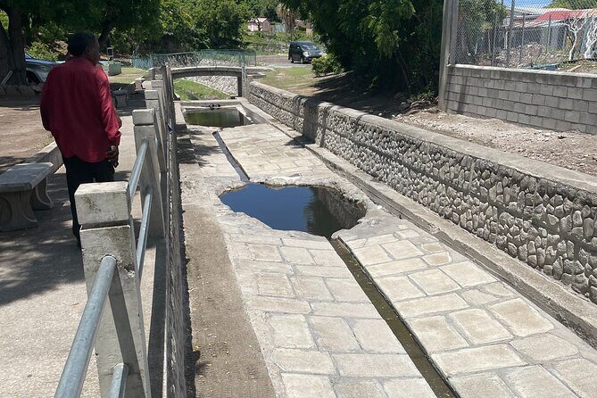 Nevis Panoramic Drive, Power Catamaran & Beach Experience - Who Should Consider This Tour?