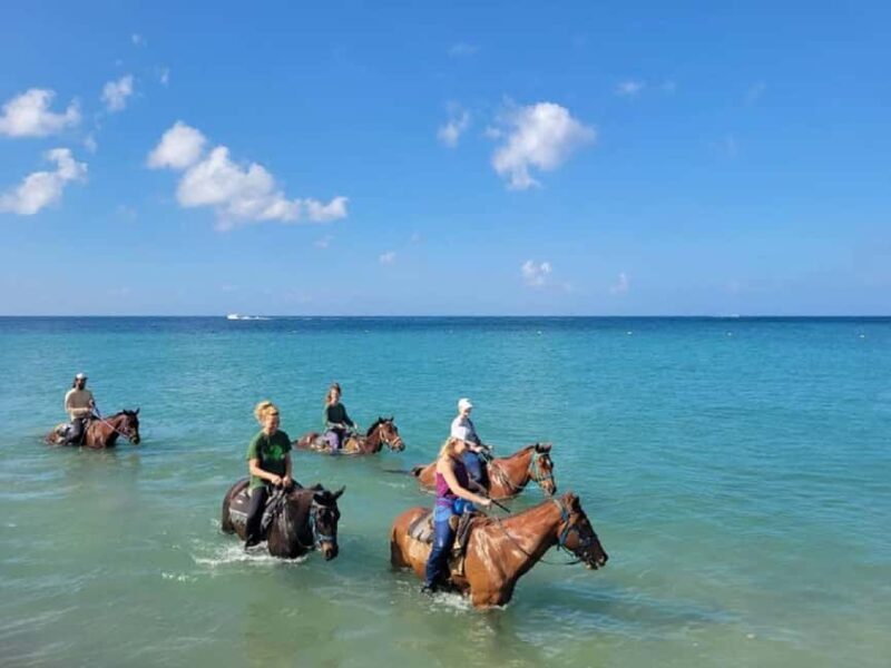 Nevis: Private Horseback Ride and Swim in the Caribbean Sea - An Authentic Ride in Nevis