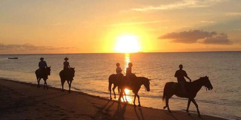 Nevis: Private Horseback Ride and Swim in the Caribbean Sea - The Horseback Ride and Swimming Experience