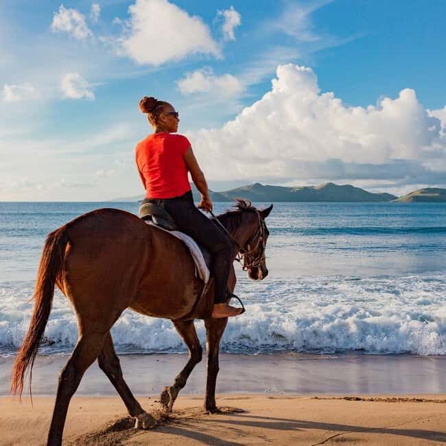 Nevis: Private Horseback Ride and Swim in the Caribbean Sea - Authentic Experiences and Cultural Encounters