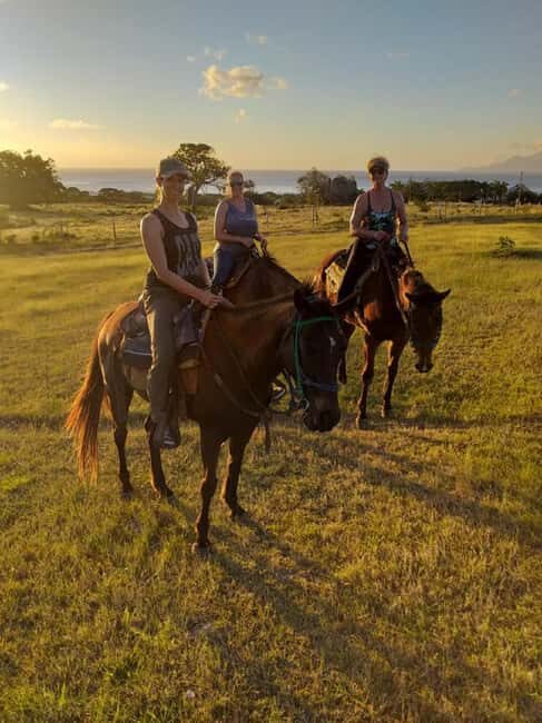 Nevis: Private Horseback Ride and Swim in the Caribbean Sea - Final Thoughts
