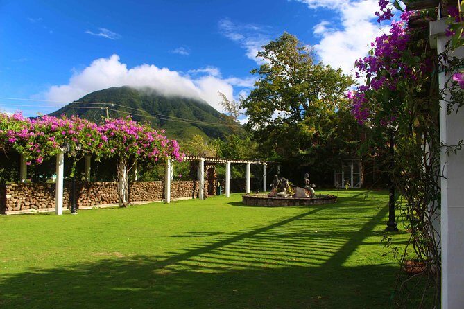 Nevis Roundtrip Ground Transfers (Reconfirm 48 hrs) - What Travelers Can Expect