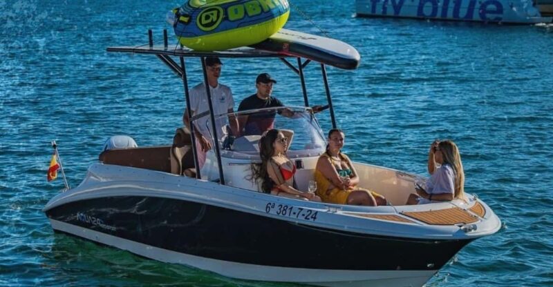 New Boat Trip in Puerto Banús With Friends, Family. Dolphins - Key Points