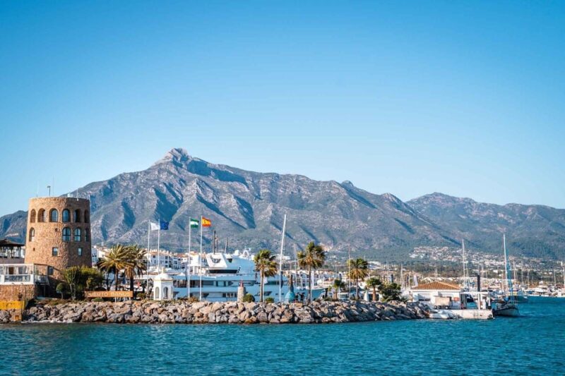 New Boat Trip in Puerto Banús With Friends, Family. Dolphins - Dolphin Watching Experience