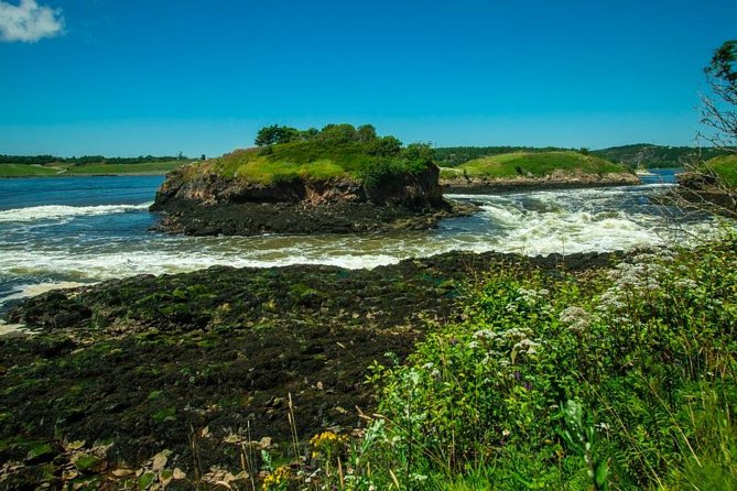 New Brunswick Shore Excursion: Bay of Fundy and More Highlights Tour - Customer Reviews