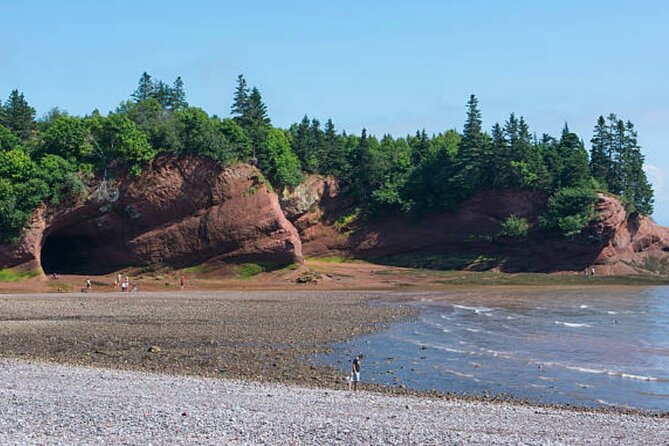 New Brunswick Shore Excursion: Bay of Fundy and More Highlights Tour - Guide Knowledge and Expertise
