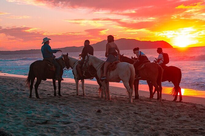 NEW!! Combo ATV & Horseback Ride. Beach & Desert. Tequila Tasting - Who Will Love This Tour?