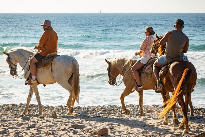 NEW!! Combo ATV & Horseback Ride. Beach & Desert. Tequila Tasting - FAQ
