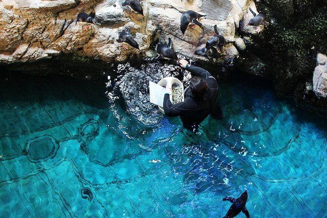 New England Aquarium Admission Ticket in Boston - Authentic Visitor Feedback