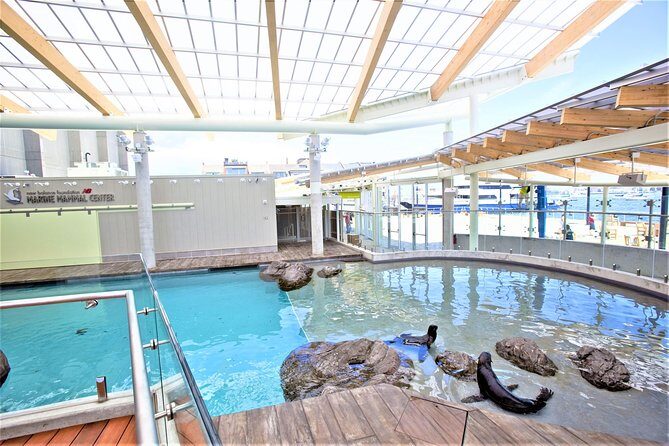 New England Aquarium Admission Ticket in Boston - FAQ About the New England Aquarium