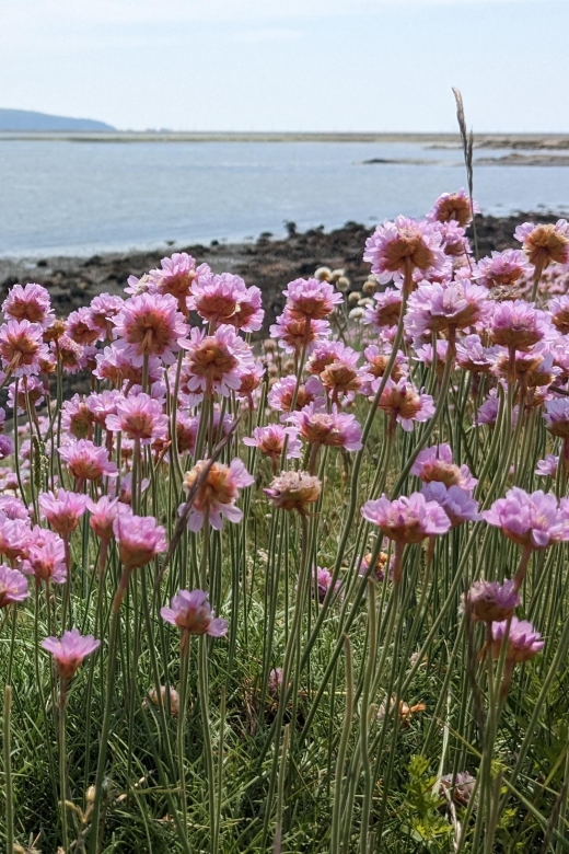 New Forest Discovery Walk (Lymington) - Booking Information and Availability