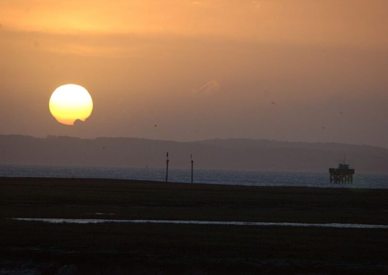 New Forest Discovery Walk (Lymington) - Wildlife and Natural Surroundings