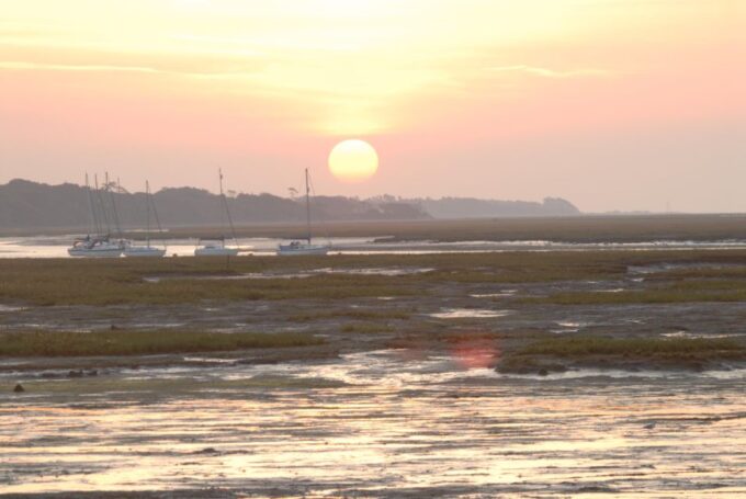 New Forest Discovery Walk (Lymington) - Organized by Wild New Forest