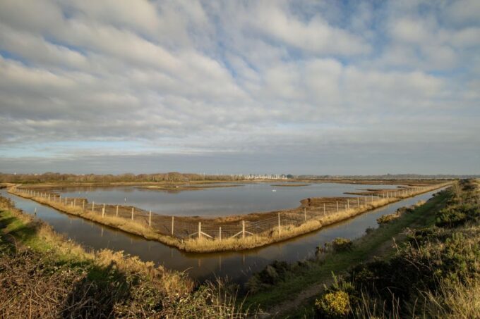 New Forest Discovery Walk (Lymington) - Frequently Asked Questions