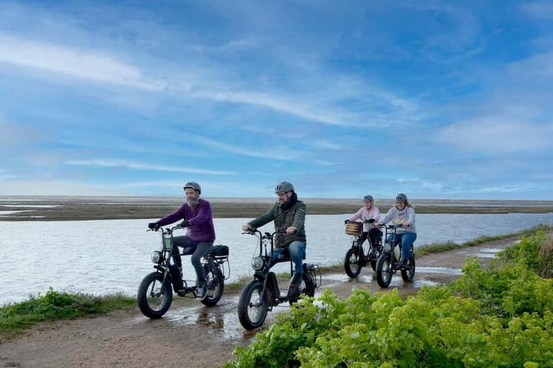 New Forest National Park: Full-Day E-Bike Rental - Key Points