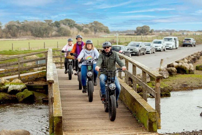 New Forest National Park: Full-Day E-Bike Rental - Discovering the New Forest on Two Wheels