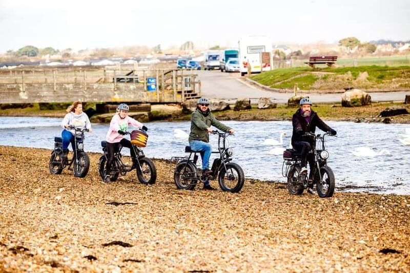 New Forest National Park: Full-Day E-Bike Rental - The Scenic Highlights