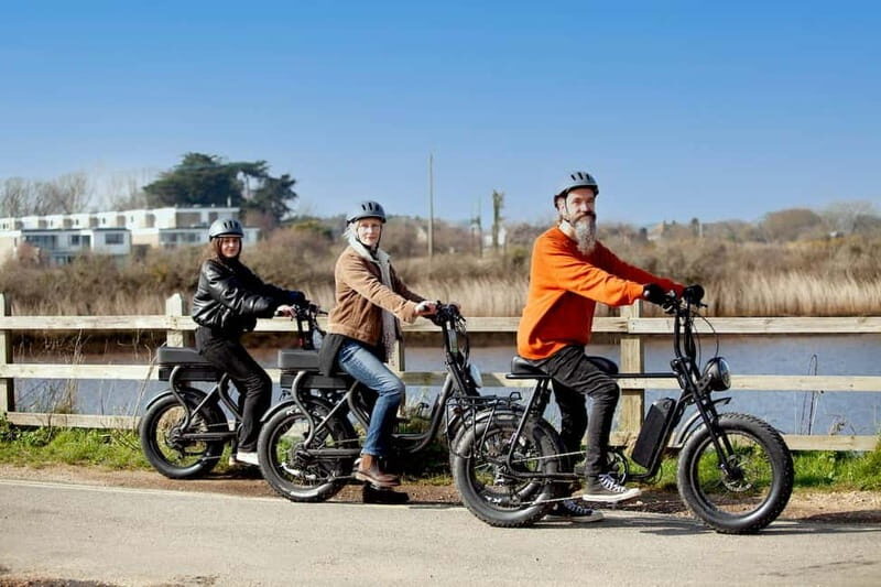 New Forest National Park: Full-Day E-Bike Rental - Village Stops and Coastal Towns
