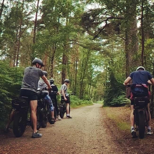 New Forest National Park: Full-Day E-Bike Rental - Practicalities: What to Know Before You Go