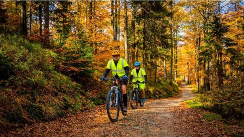 New Hampshires Nature Bike Tour - NH Greenway Rail Trail - How the Tour Compares to Similar Experiences