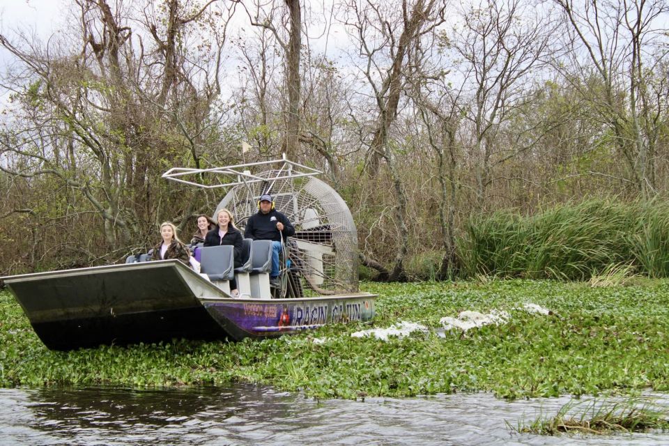 New Orleans: 10 Passenger Airboat Swamp Tour - Tour Highlights