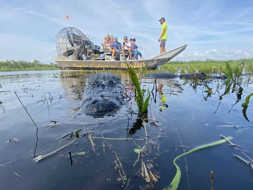 New Orleans: 10 Passenger Airboat Swamp Tour - Suitability and Restrictions