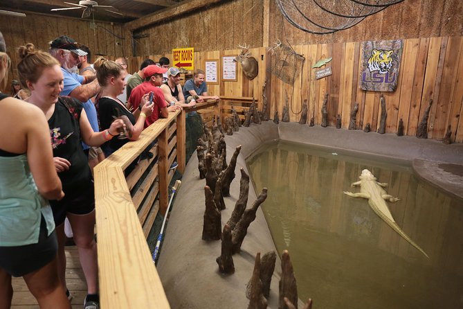 New Orleans Airboat Ride - Recap
