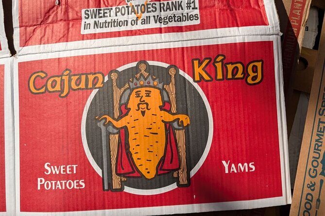 New Orleans Arts District Gallery Tour with Champagne - Final Thoughts: Is It Worth It?