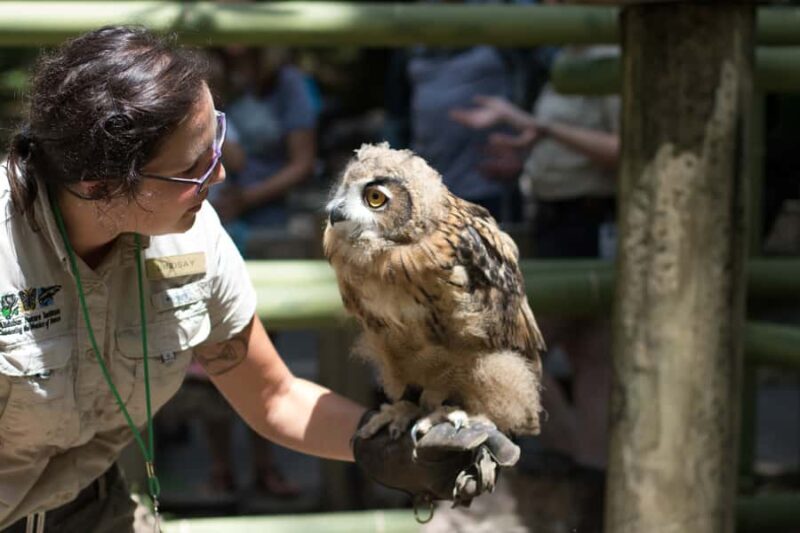 New Orleans: Audubon Zoo or Combo Ticket - Who Will Love This Experience?