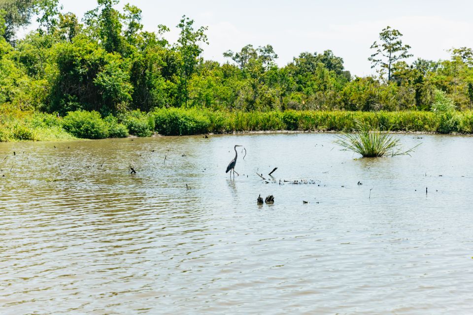New Orleans: Bayou Tour in Jean Lafitte National Park - Duration and Pricing