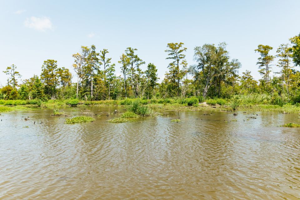 New Orleans: Bayou Tour in Jean Lafitte National Park - Pontoon Boat Ride