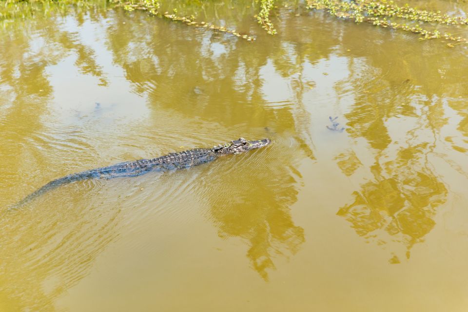 New Orleans: Bayou Tour in Jean Lafitte National Park - Wildlife and Local Legends