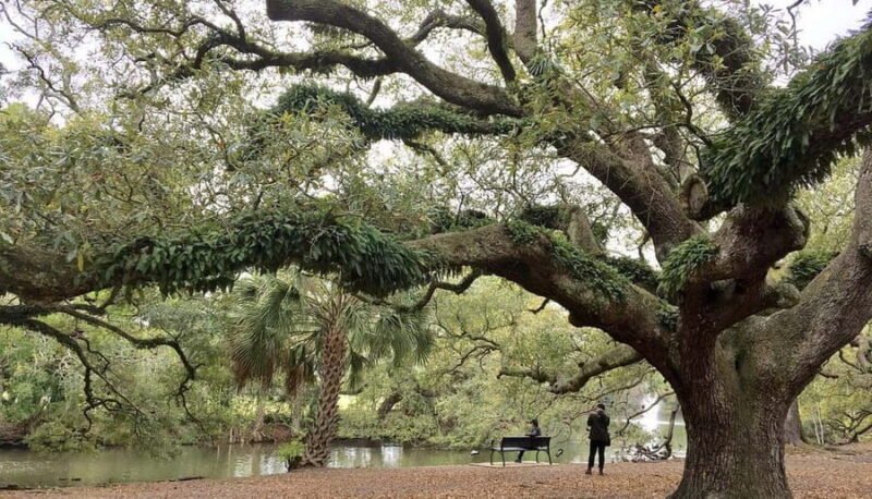New Orleans Favorites: Beyond the French Quarter Tour - Discovering the City’s Neighborhoods and Landmarks