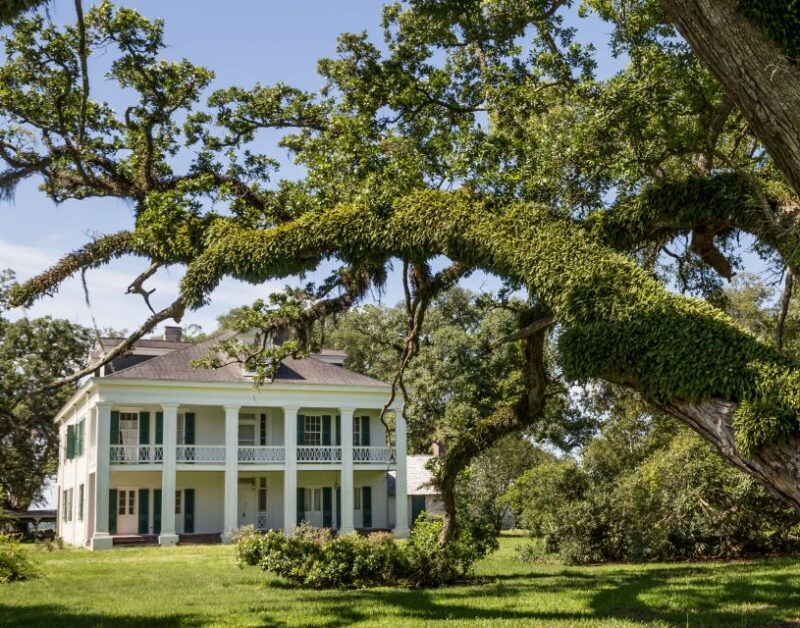 New Orleans: Felicity Plantation Guided Tour - A Closer Look at the Experience