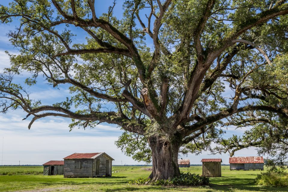 New Orleans: Felicity Plantation Guided Tour - Booking Policy
